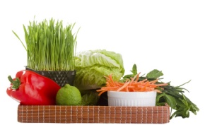 Martin County Wheatgrass and Nutrition 